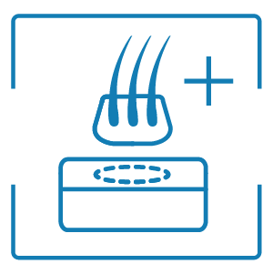 HUE Plus Icon