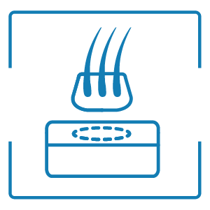 HUE Icon