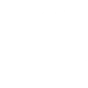 Procedure Day Icon
