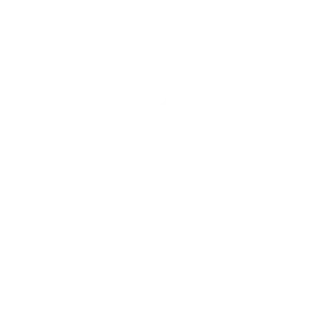 Initial Consultation Icon