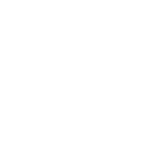 Honest Review Icon
